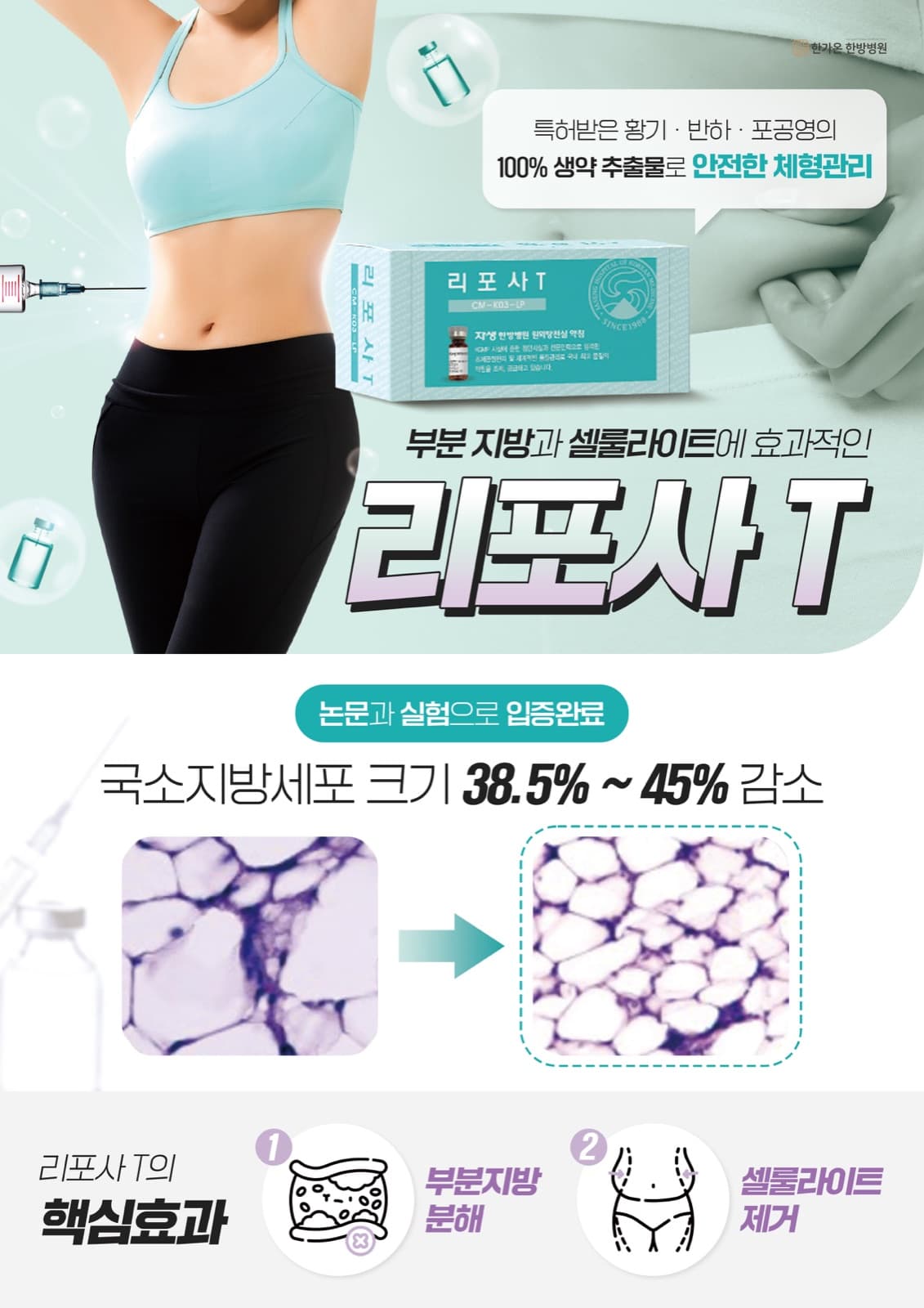 리포사T