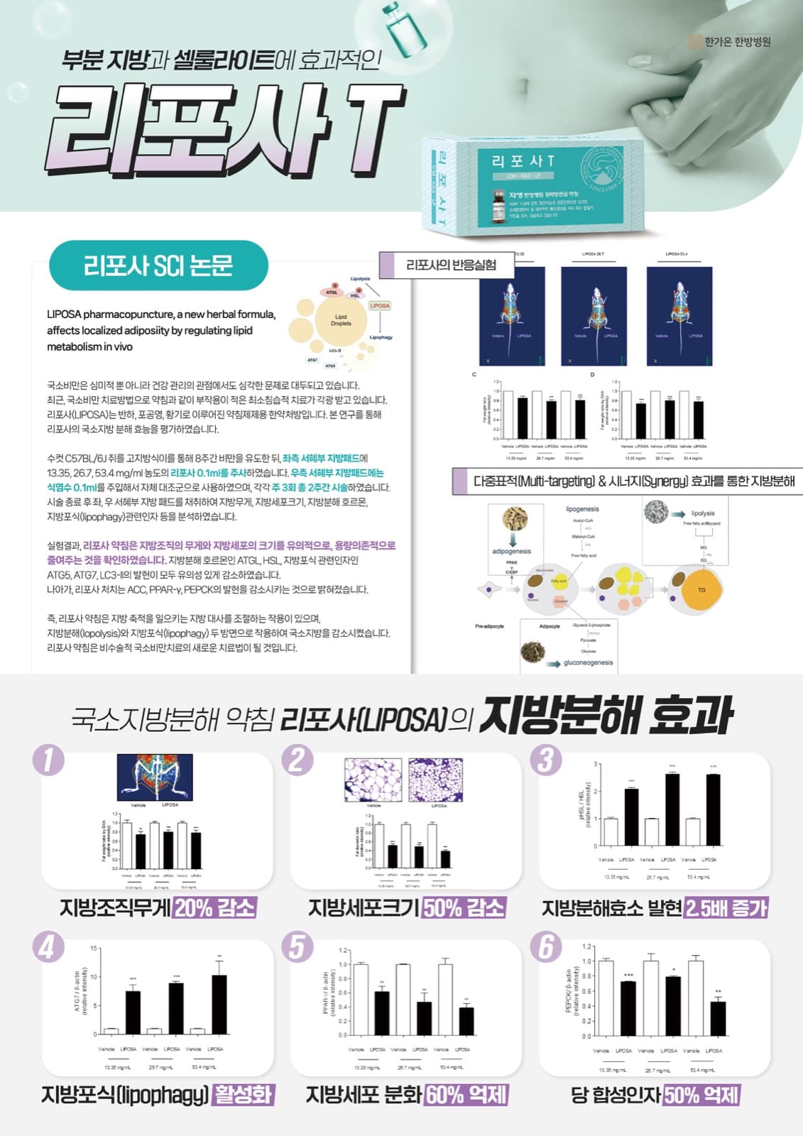 리포사T 효과