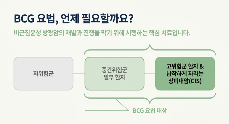 방광암, BCG 방광주입요법 전에 소변세포검사까지 같이 봐야 할까요? 관련 이미지 2
