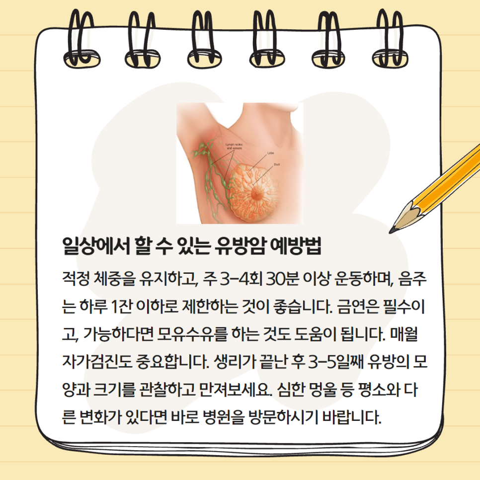 유방암의 모든것 - 유방암 원인, 초기증상, 병기, 생존율, 치료, 검사, 수술, 예방법 관련 참고 이미지 2
