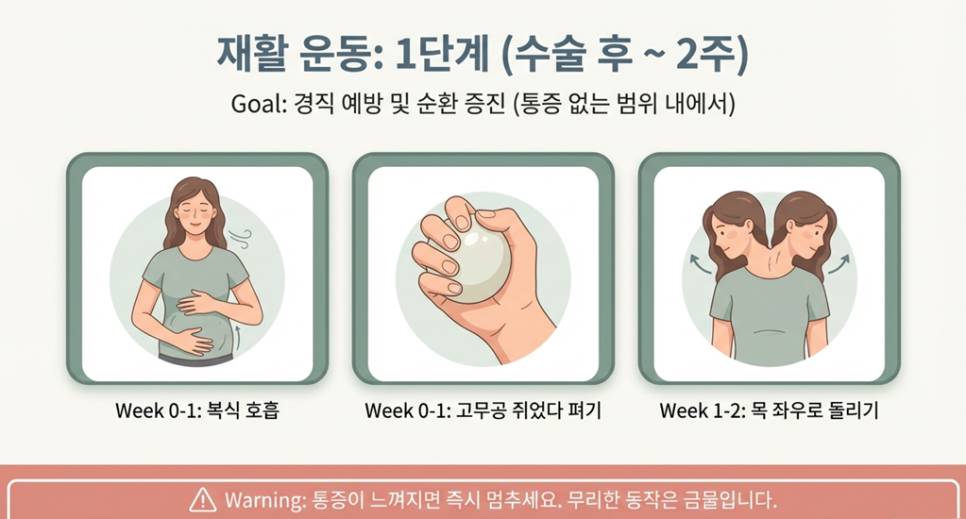 어깨 재활과 단계별 운동을 설명하는 이미지