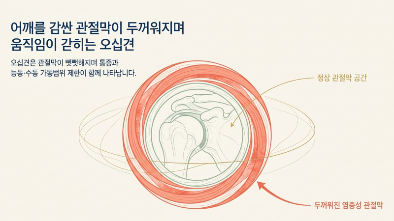 병원 내부 진료 및 상담 환경을 보여주는 홍보 이미지