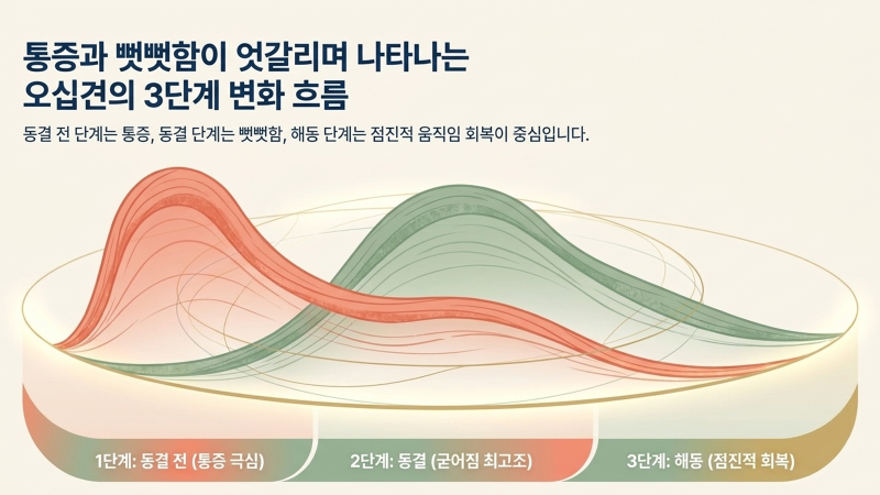 병원 진료실과 입원 환경을 담은 안내 이미지