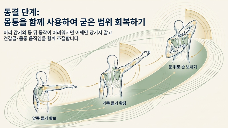 병원 진료 순서와 오십견 원인 파악 과정을 보여주는 자료