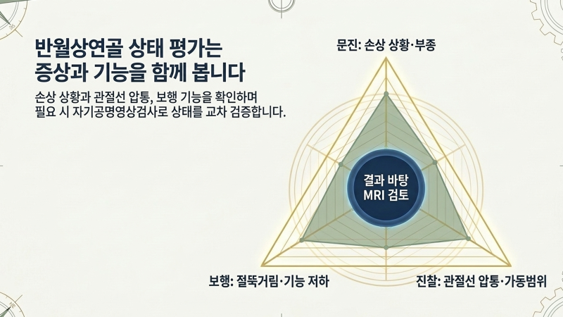 기간별 병기 특징과 대응 요령을 설명하는 세 번째 슬라이드 화면