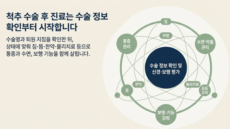 치료 방법과 진료 순서를 정리한 내용을 뒷받침하는 이미지